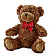 Adorable Plush Bear – Flowers The Bouquet Of Roses, Tampa FL