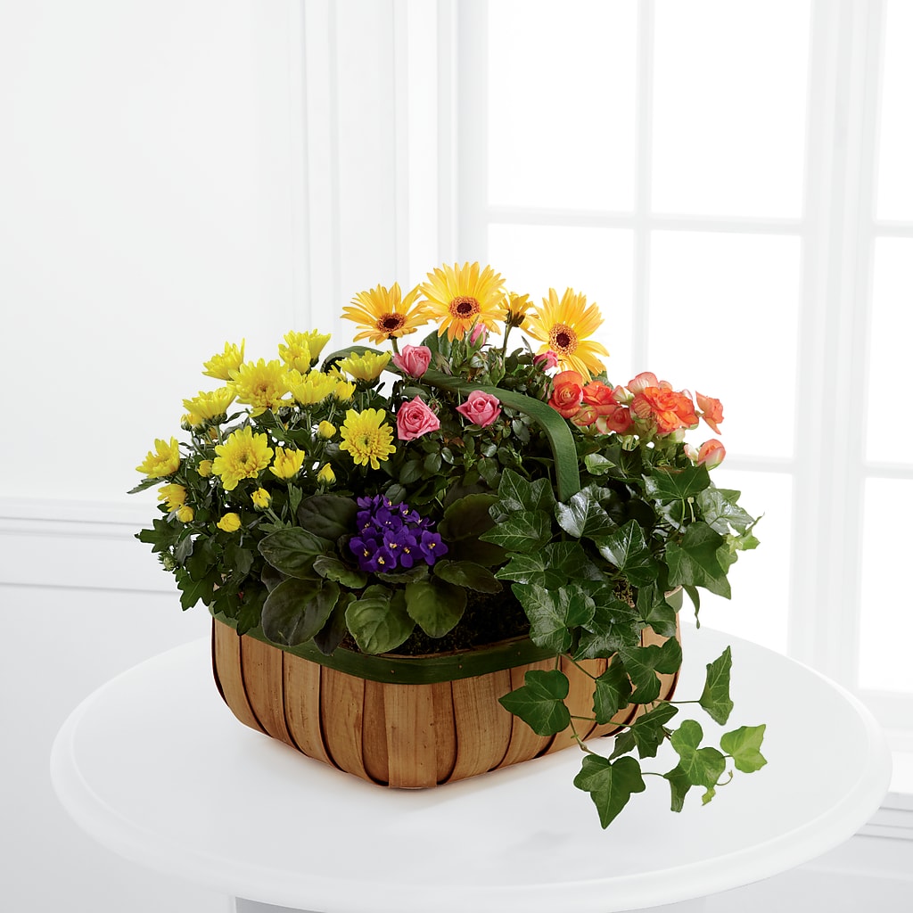 Gentle Blossoms Basket – Flowers The Bouquet Of Roses, Tampa FL
