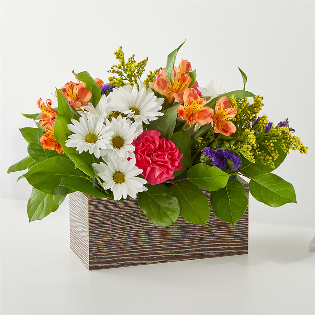 Oopsie Daisy Box Bouquet – Flowers The Bouquet Of Roses, Tampa FL