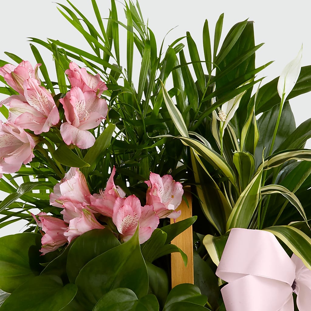 Living Spirit Dishgarden – Flowers The Bouquet Of Roses, Tampa FL
