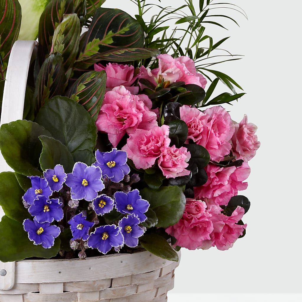Peaceful Garden Planter – Flowers The Bouquet Of Roses, Tampa FL