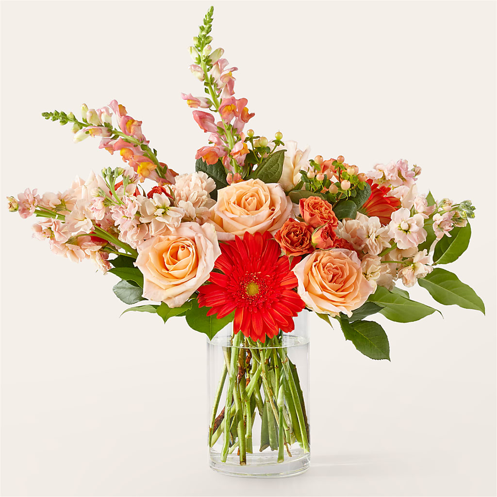Paloma Please Bouquet – Flowers The Bouquet Of Roses, Tampa FL