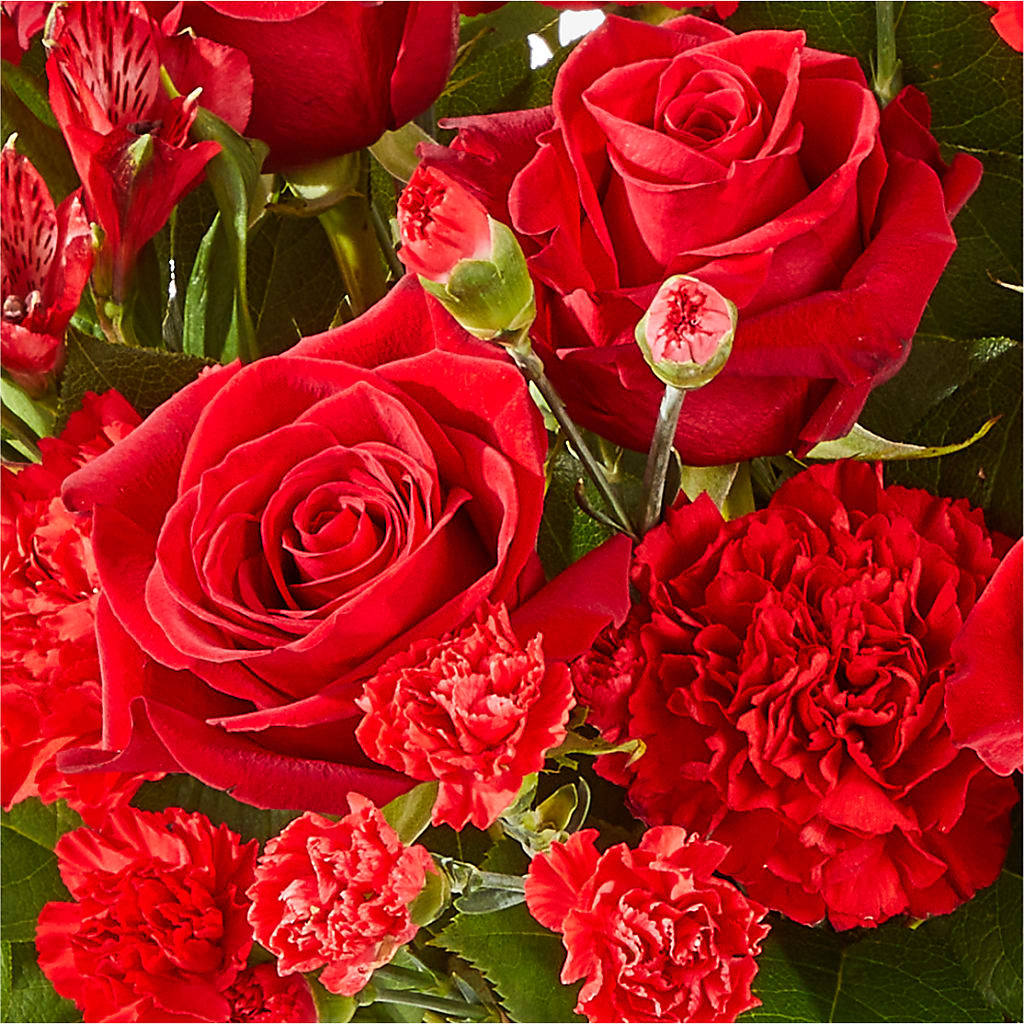 The Heartstrings Bouquet – Flowers The Bouquet Of Roses, Tampa FL