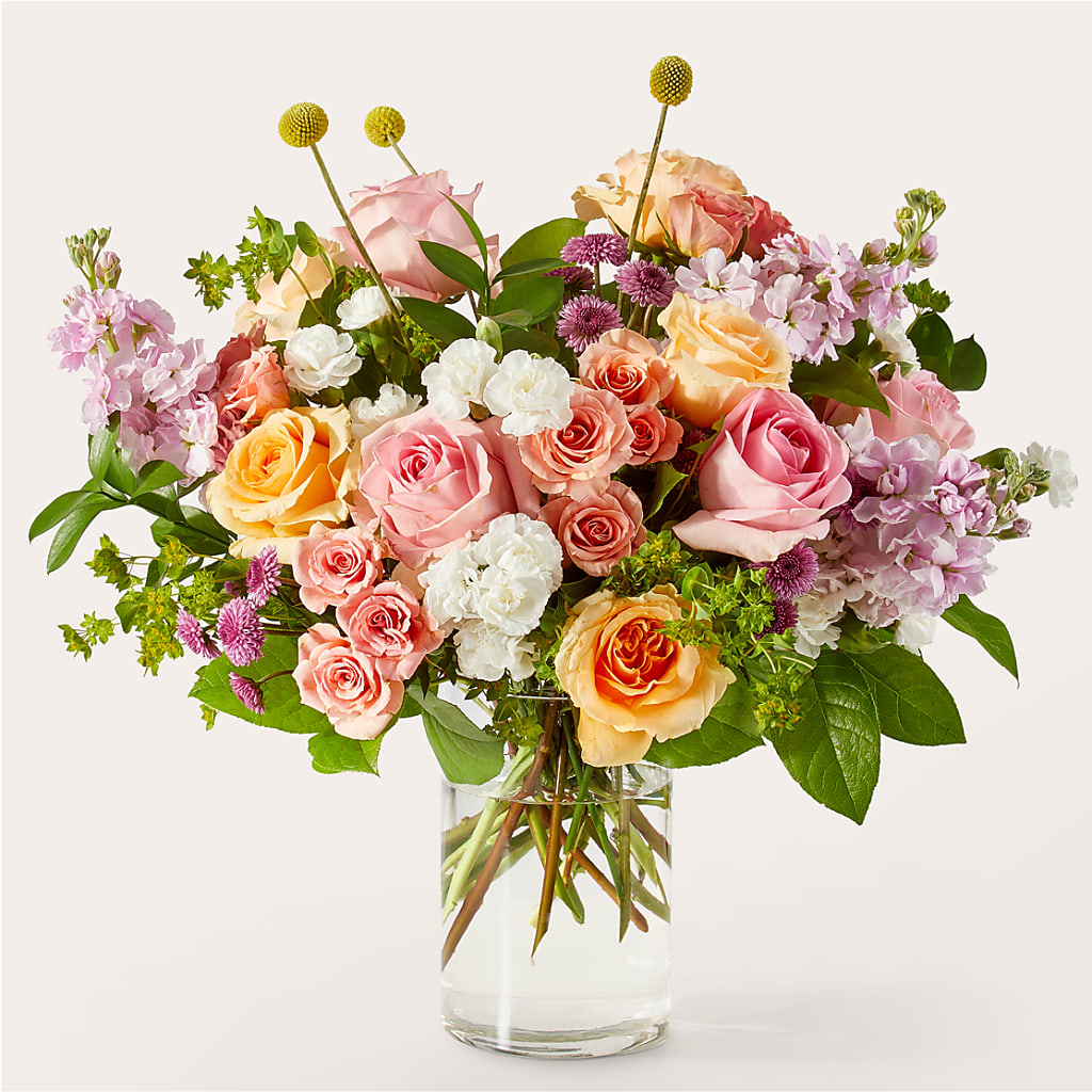 Perfect Contentment Bouquet – Flowers The Bouquet Of Roses, Tampa FL