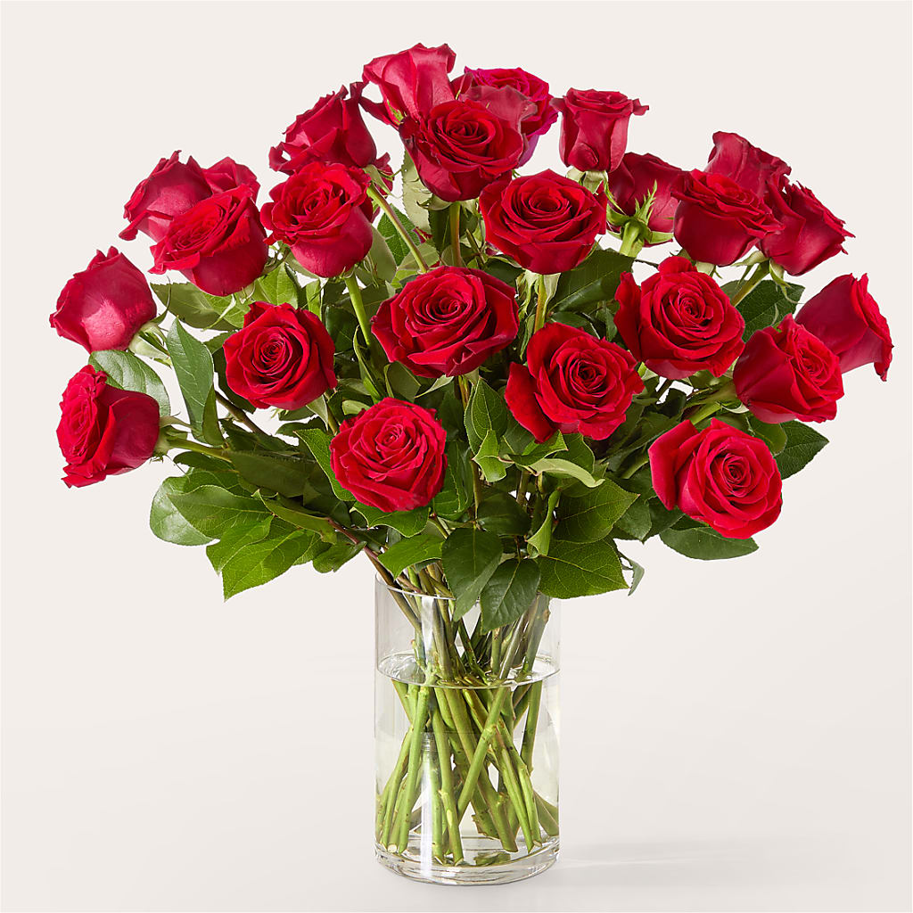 The One Red Rose Bouquet – Flowers The Bouquet Of Roses, Tampa FL