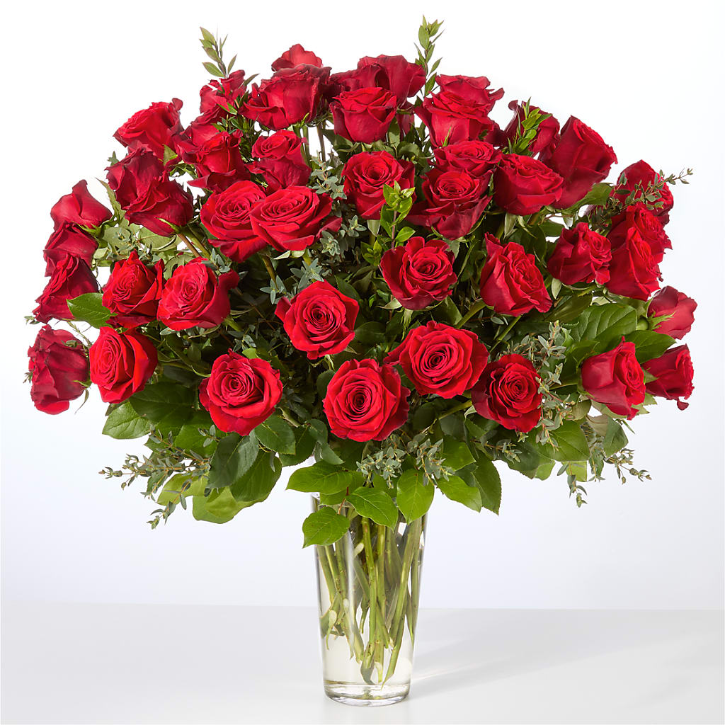 Forever Yours Fifty Stem Red Rose Bouquet – Flowers The Bouquet Of Roses, Tampa FL