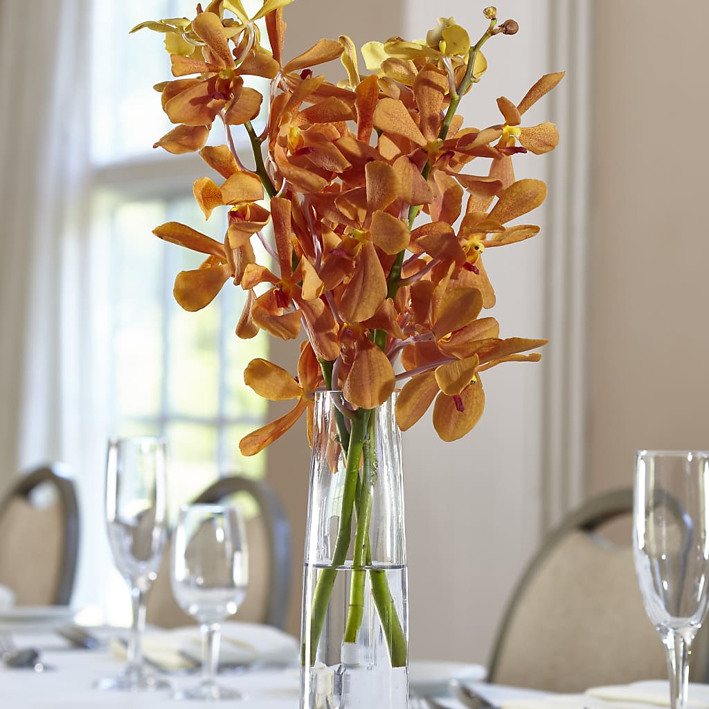 Orange Mokara Bud Vase – Flowers The Bouquet Of Roses, Tampa FL