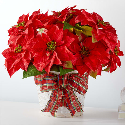 Happiest Holidays Poinsettia –  Flowers The Bouquet Of Roses, Tampa FL