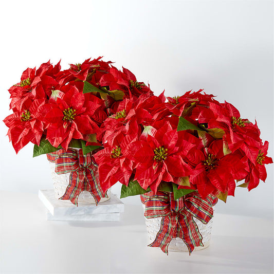 Happiest Holidays Poinsettia Bundle –  Flowers The Bouquet Of Roses, Tampa FL