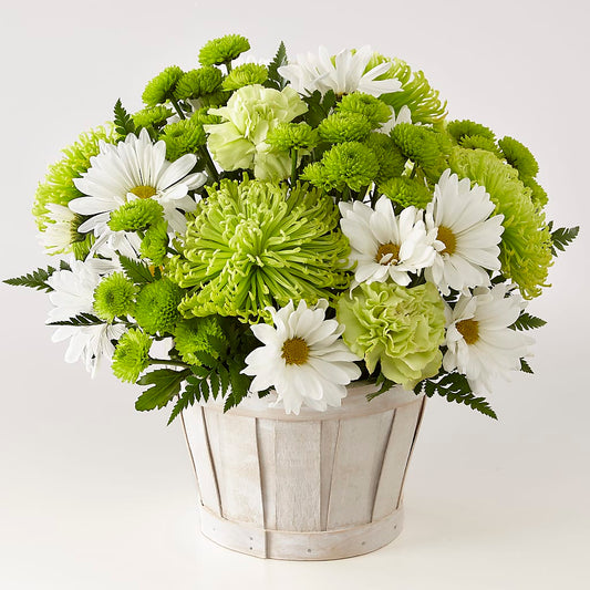 Lucky Charm Basket (Standard) –  Flowers The Bouquet Of Roses, Tampa FL