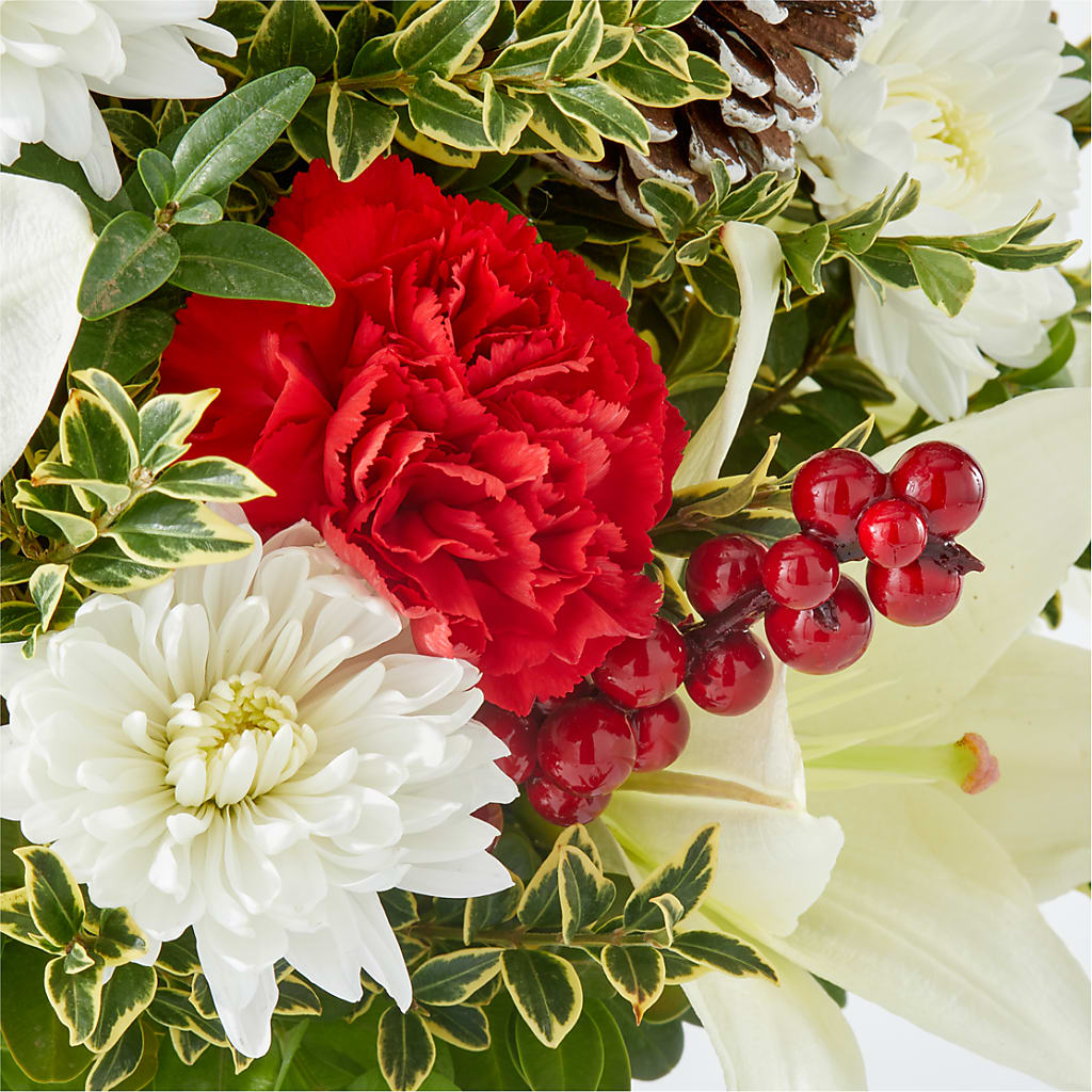 Festive Moments Tree –  Flowers The Bouquet Of Roses, Tampa FL