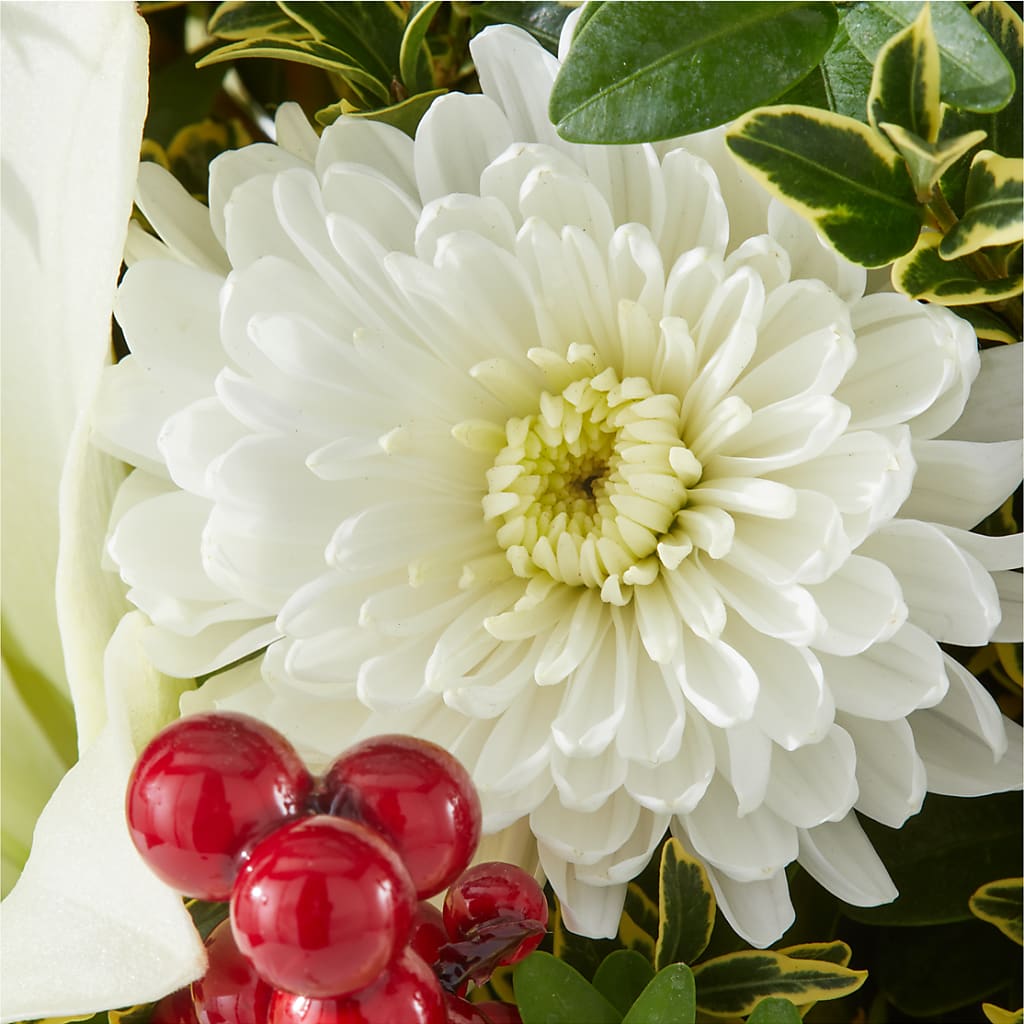 Festive Moments Tree –  Flowers The Bouquet Of Roses, Tampa FL