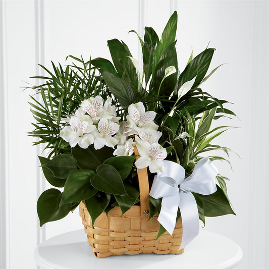 Peace & Serenity Dishgarden –  Flowers The Bouquet Of Roses, Tampa FL
