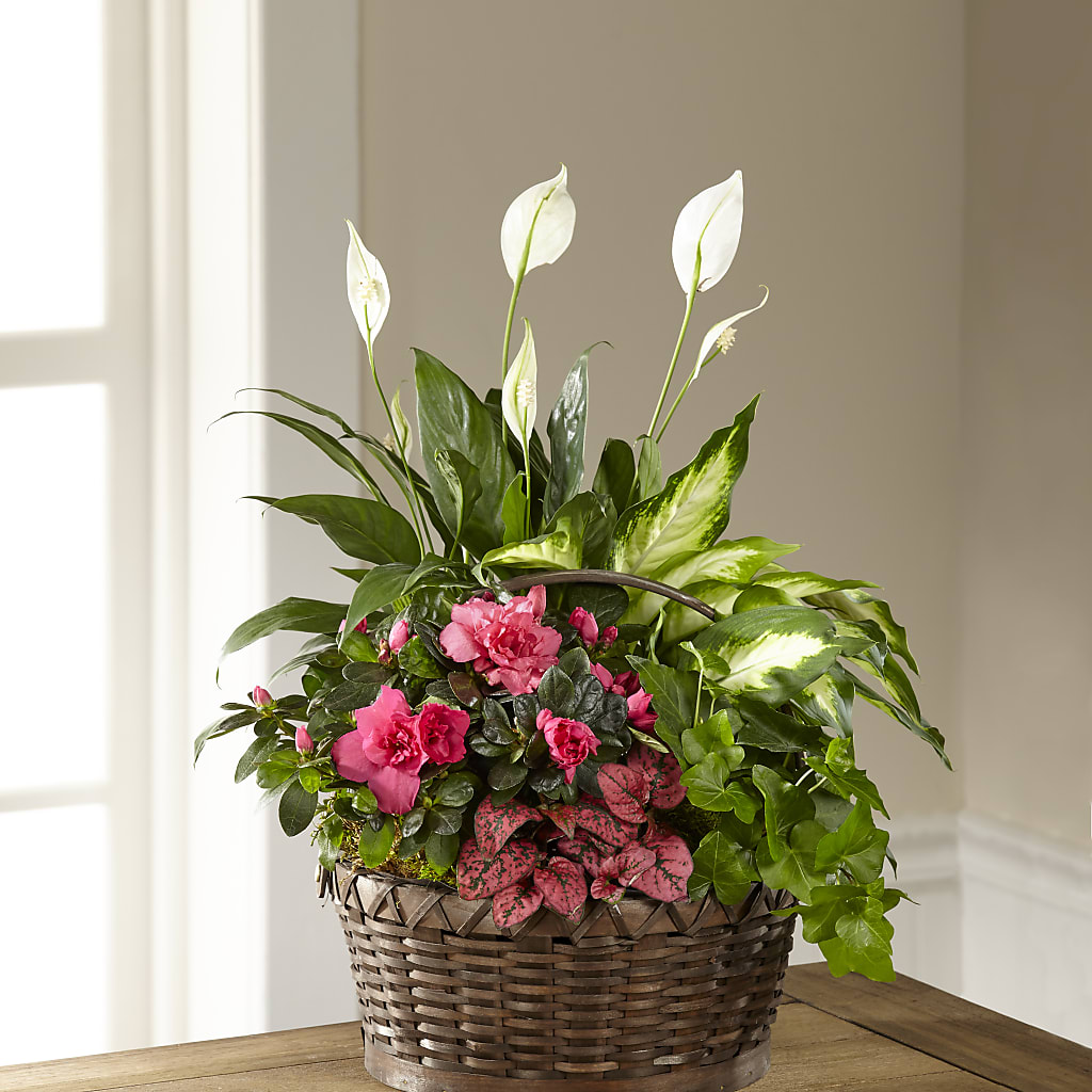Dream in Pink Dishgarden –  Flowers The Bouquet Of Roses, Tampa FL