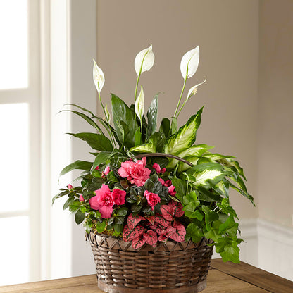 Dream in Pink Dishgarden –  Flowers The Bouquet Of Roses, Tampa FL