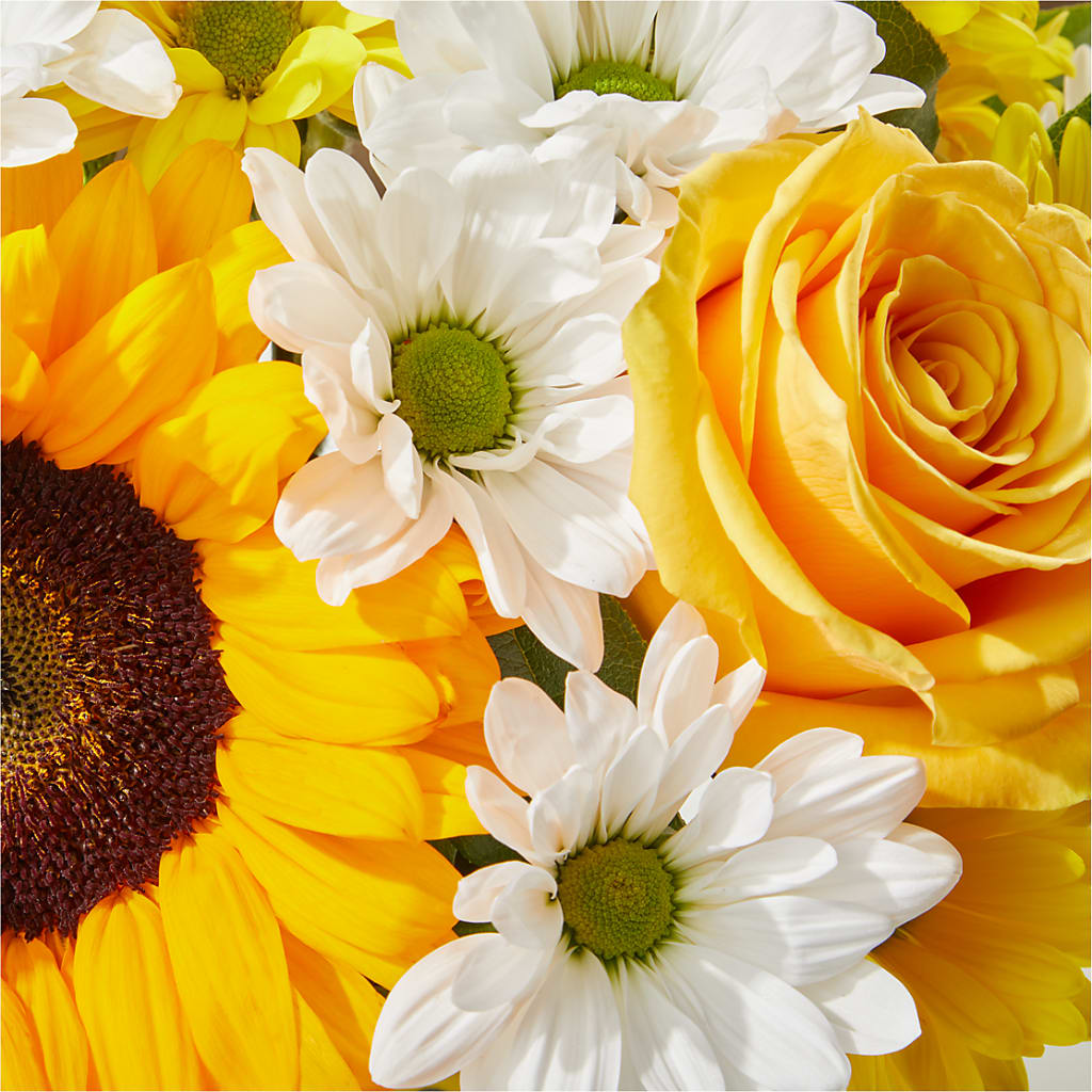 Be Happy Bouquet –  Flowers The Bouquet Of Roses, Tampa FL