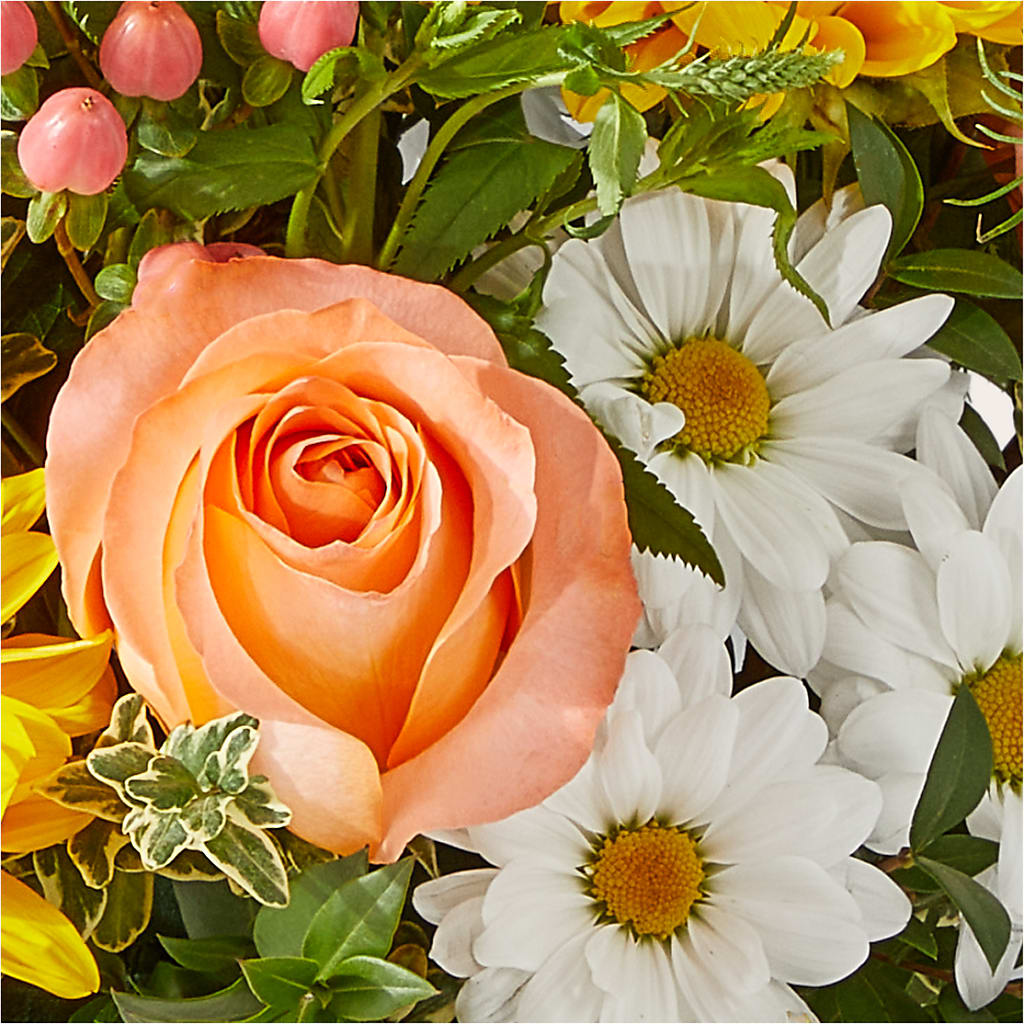The Good Life Bouquet –  Flowers The Bouquet Of Roses, Tampa FL