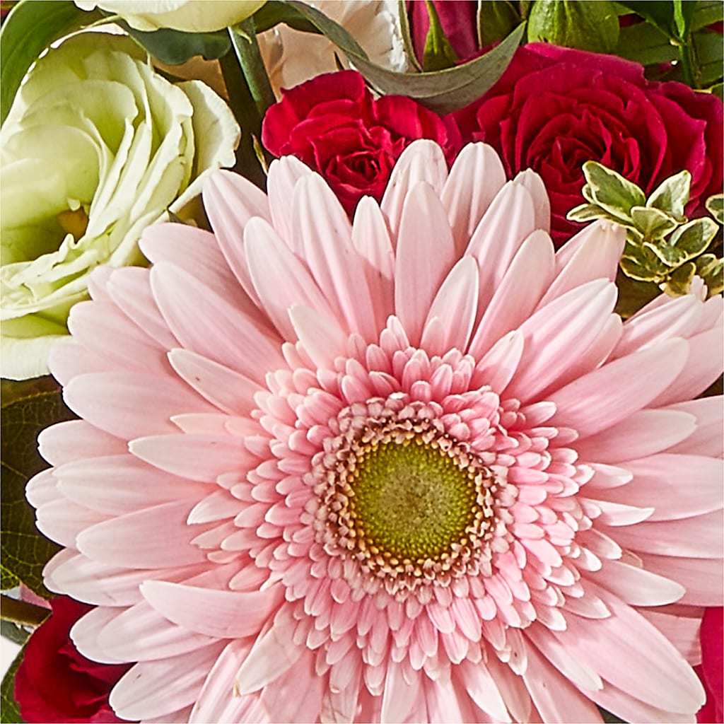Too Cute Bouquet –  Flowers The Bouquet Of Roses, Tampa FL