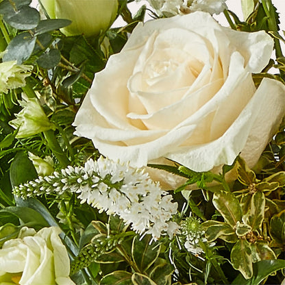 Cashmere Bouquet –  Flowers The Bouquet Of Roses, Tampa FL