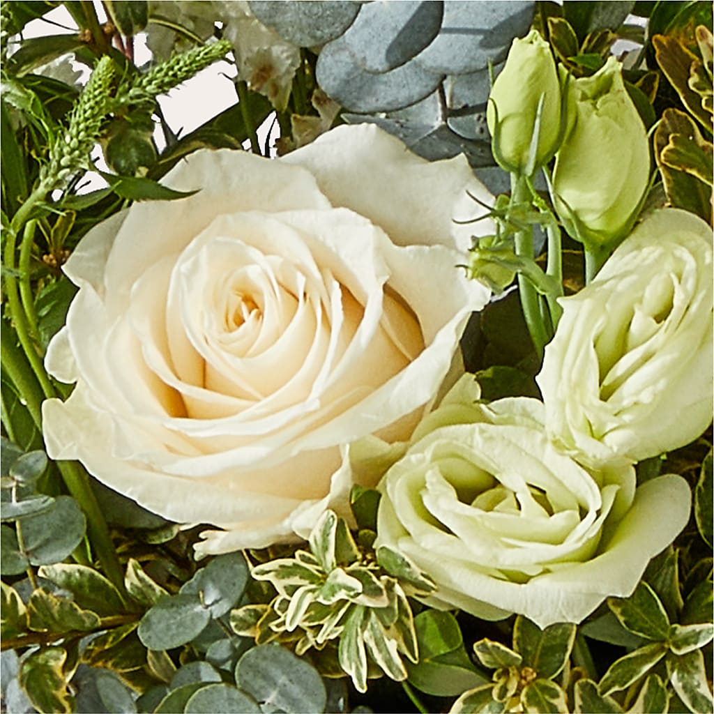 Cashmere Bouquet –  Flowers The Bouquet Of Roses, Tampa FL