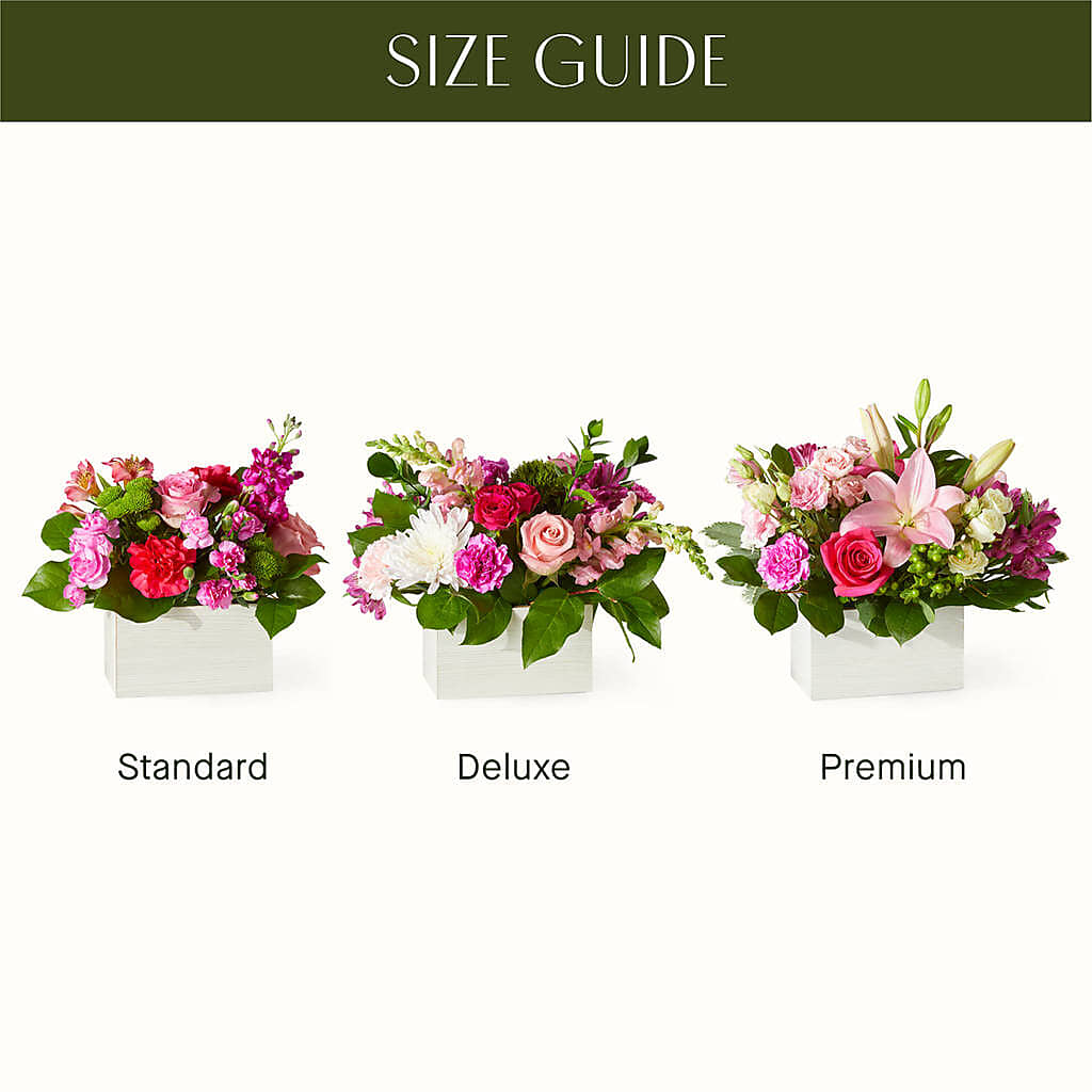 Sweetberry Box – A Florist Original –  Flowers The Bouquet Of Roses, Tampa FL