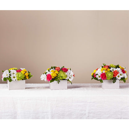 Sorbet Bouquet –  Flowers The Bouquet Of Roses, Tampa FL