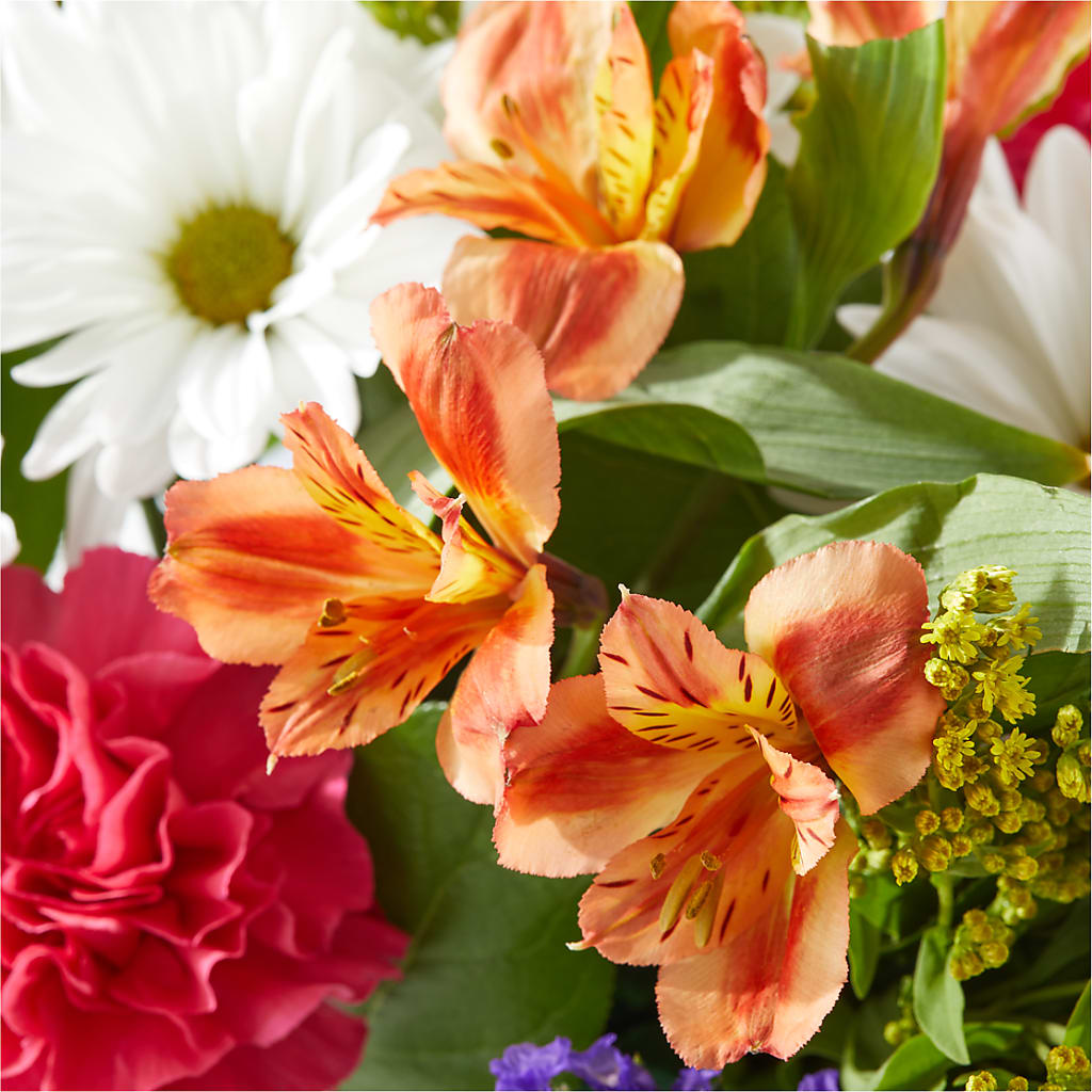 Oopsie Daisy Box Bouquet –  Flowers The Bouquet Of Roses, Tampa FL