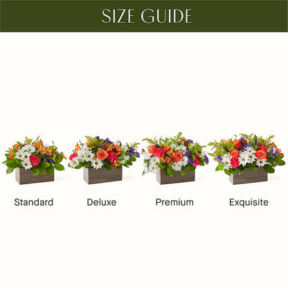 Oopsie Daisy Box Bouquet –  Flowers The Bouquet Of Roses, Tampa FL