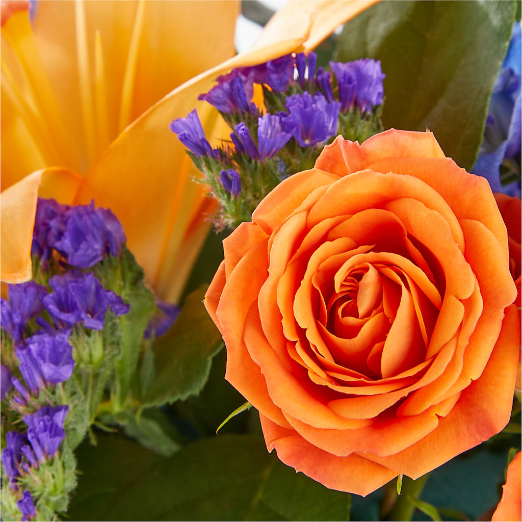 Radiant Citrus Box Bouquet –  Flowers The Bouquet Of Roses, Tampa FL
