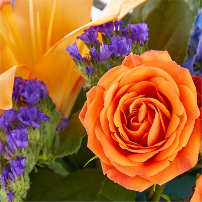 Radiant Citrus Box Bouquet –  Flowers The Bouquet Of Roses, Tampa FL