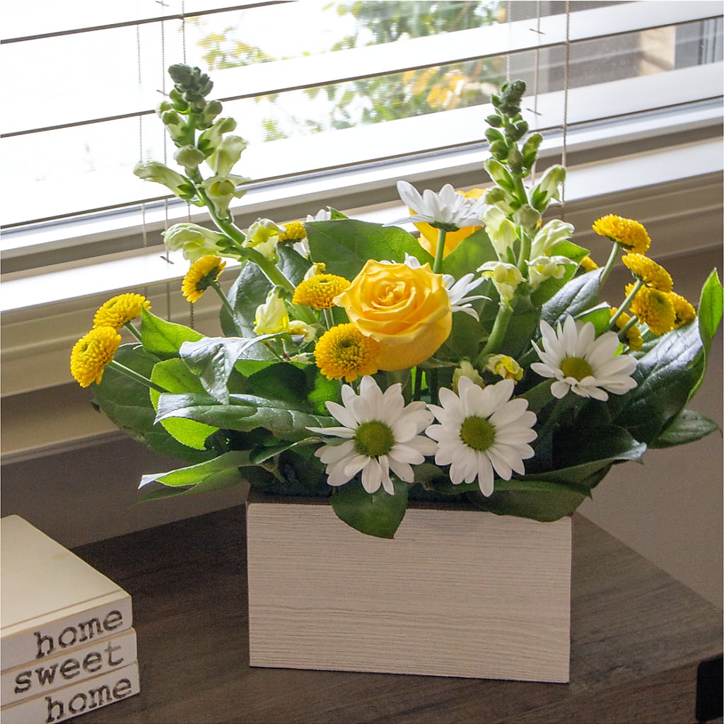 Sun Salutation Box Bouquet –  Flowers The Bouquet Of Roses, Tampa FL