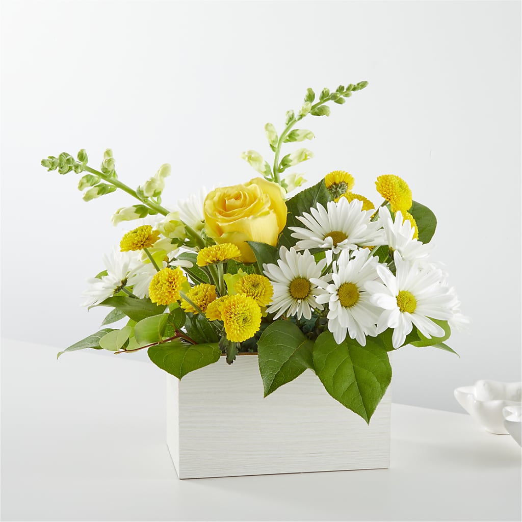 Sun Salutation Box Bouquet –  Flowers The Bouquet Of Roses, Tampa FL