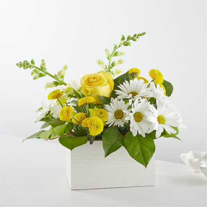 Sun Salutation Box Bouquet –  Flowers The Bouquet Of Roses, Tampa FL