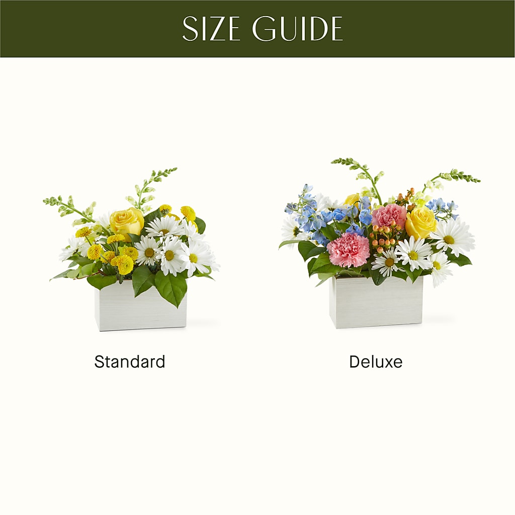 Sun Salutation Box Bouquet –  Flowers The Bouquet Of Roses, Tampa FL
