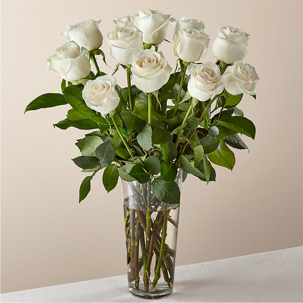 Long Stem White Rose Bouquet –  Flowers The Bouquet Of Roses, Tampa FL