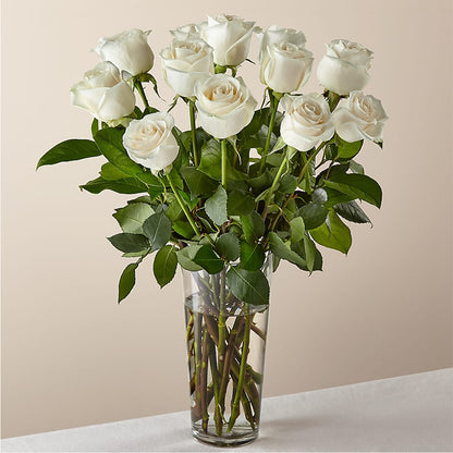 Long Stem White Rose Bouquet –  Flowers The Bouquet Of Roses, Tampa FL