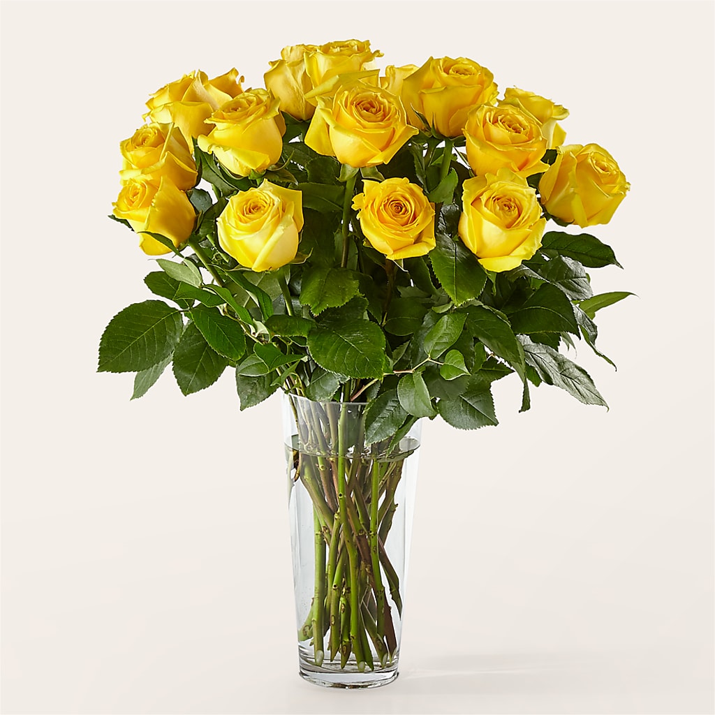 Long Stem Yellow Rose Bouquet –  Flowers The Bouquet Of Roses, Tampa FL