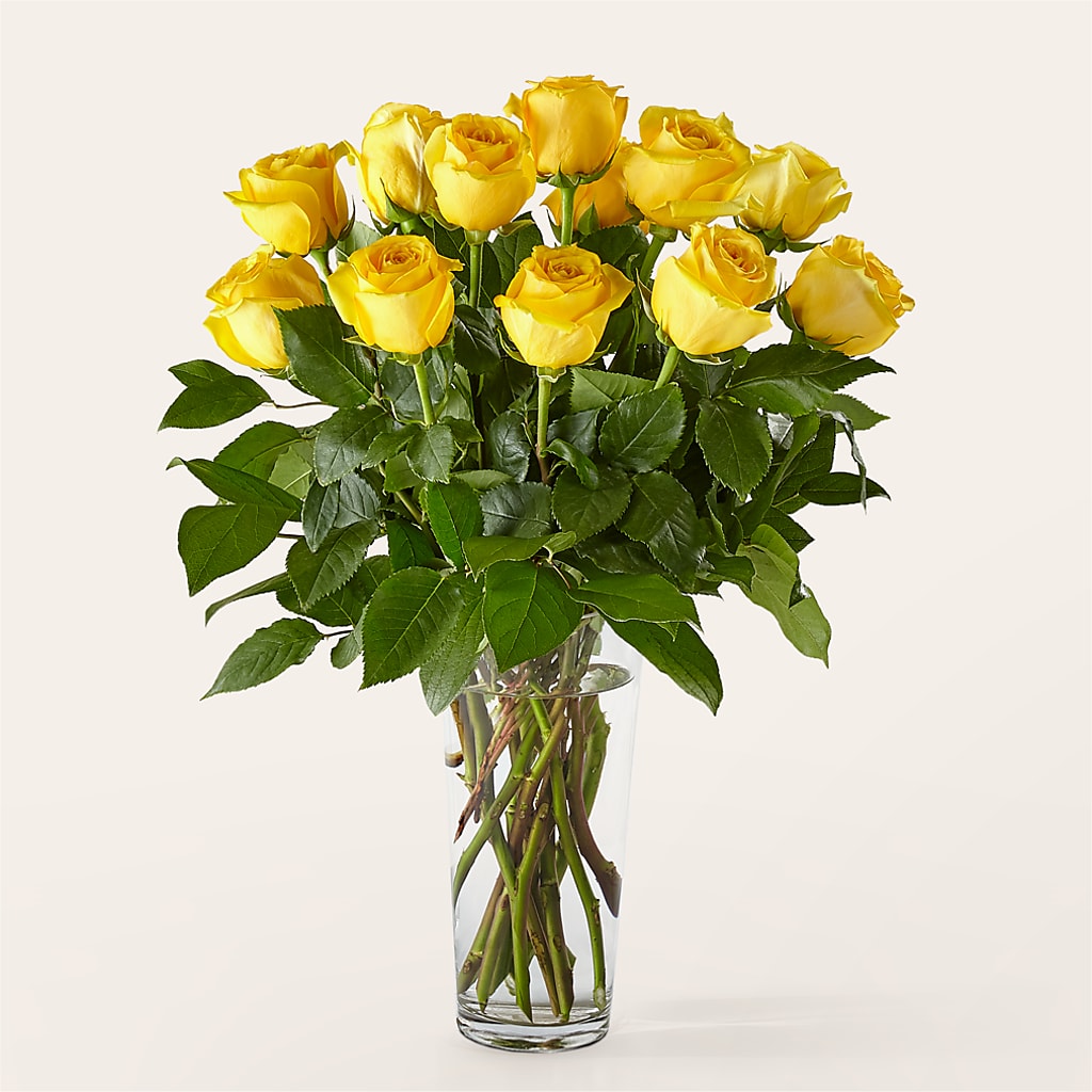 Long Stem Yellow Rose Bouquet –  Flowers The Bouquet Of Roses, Tampa FL
