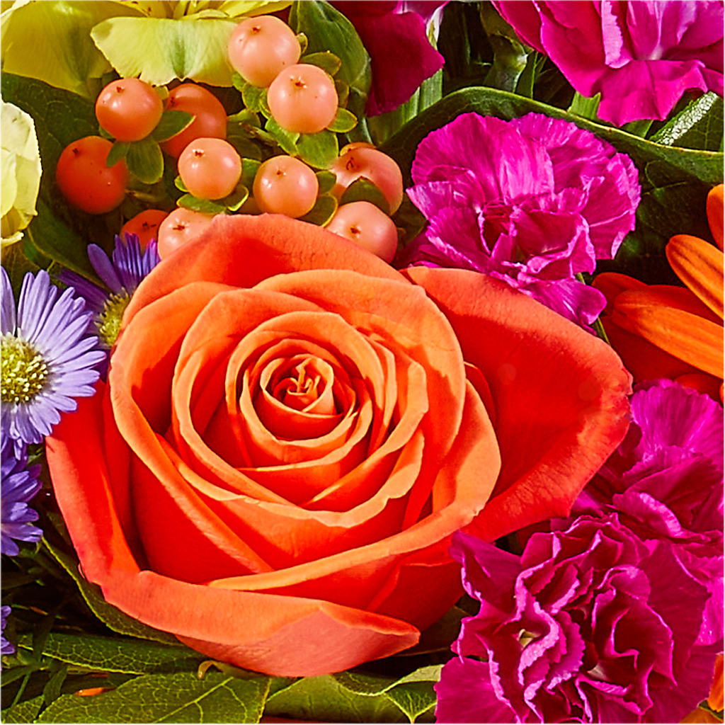 Tricks & Treats Pumpkin –  Flowers The Bouquet Of Roses, Tampa FL