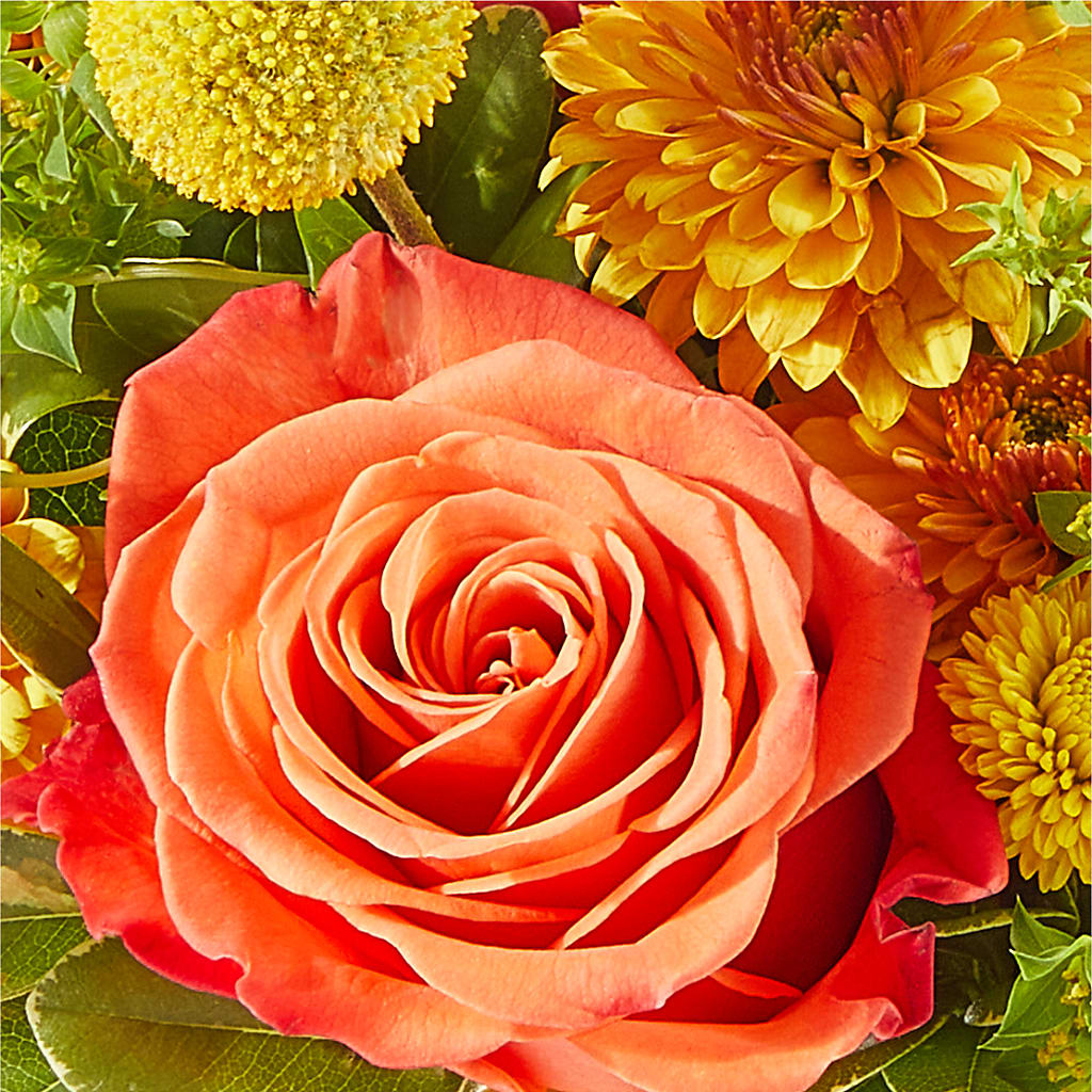 Gourdgeous Pumpkin –  Flowers The Bouquet Of Roses, Tampa FL