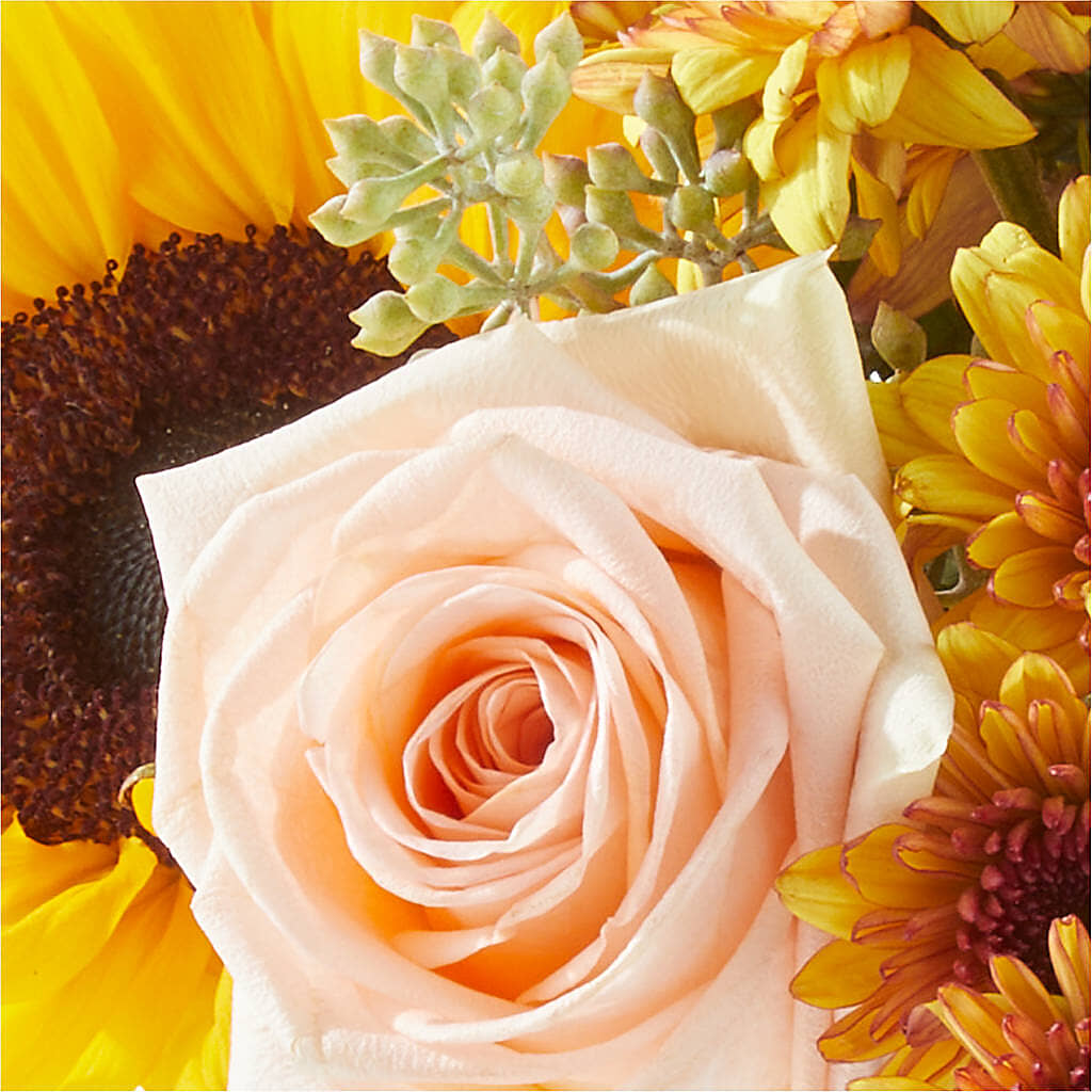 Pumpkin to Talk About Bouquet –  Flowers The Bouquet Of Roses, Tampa FL