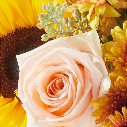 Pumpkin to Talk About Bouquet –  Flowers The Bouquet Of Roses, Tampa FL