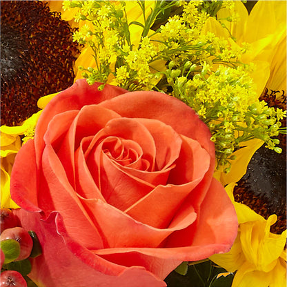 Pick of the Patch Pumpkin Bouquet –  Flowers The Bouquet Of Roses, Tampa FL