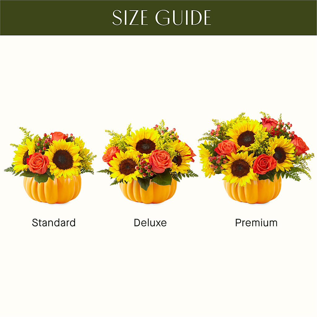 Pick of the Patch Pumpkin Bouquet –  Flowers The Bouquet Of Roses, Tampa FL