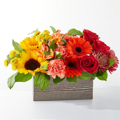 Autumn Orchard Bouquet –  Flowers The Bouquet Of Roses, Tampa FL