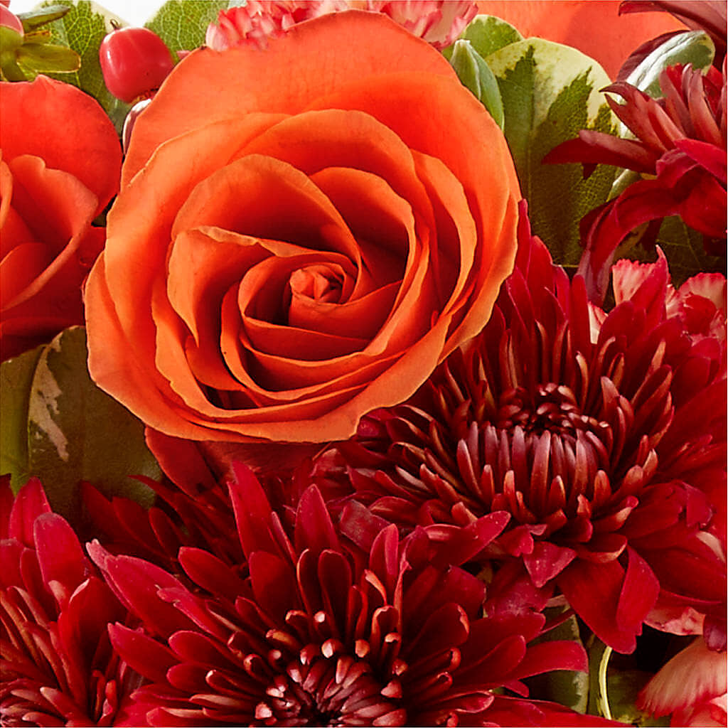 Autumn Air Pumpkin Bouquet –  Flowers The Bouquet Of Roses, Tampa FL
