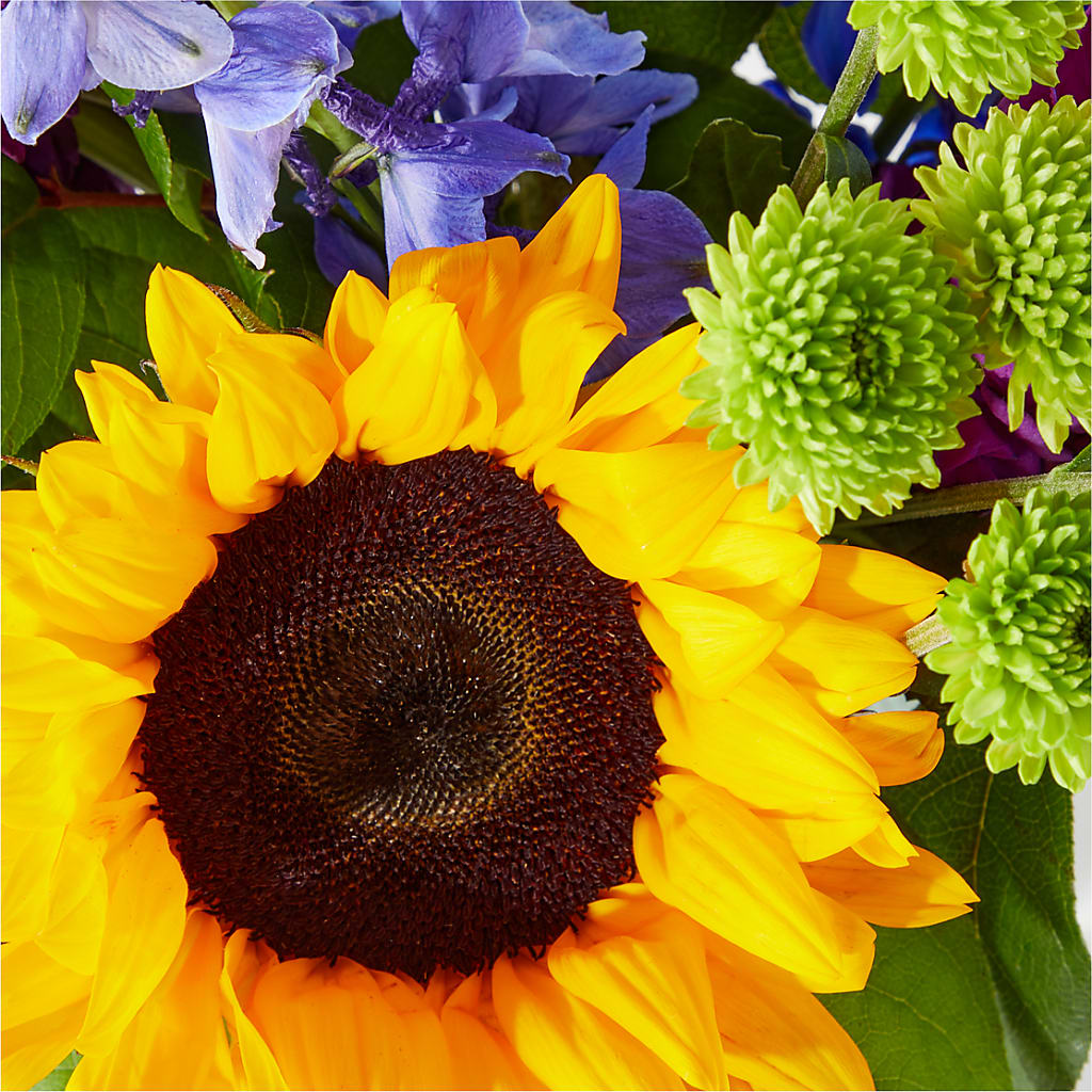 Catching Rays Bouquet –  Flowers The Bouquet Of Roses, Tampa FL