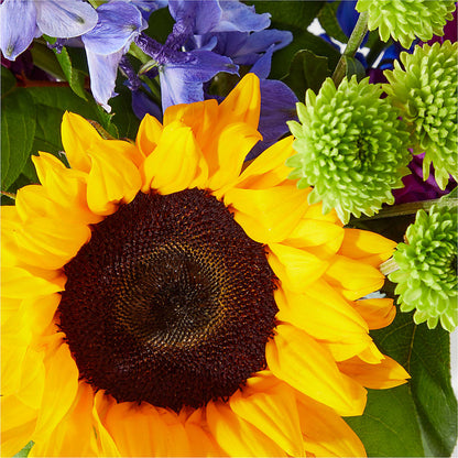 Catching Rays Bouquet –  Flowers The Bouquet Of Roses, Tampa FL