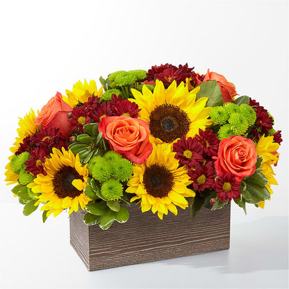 Happy Harvest Garden –  Flowers The Bouquet Of Roses, Tampa FL