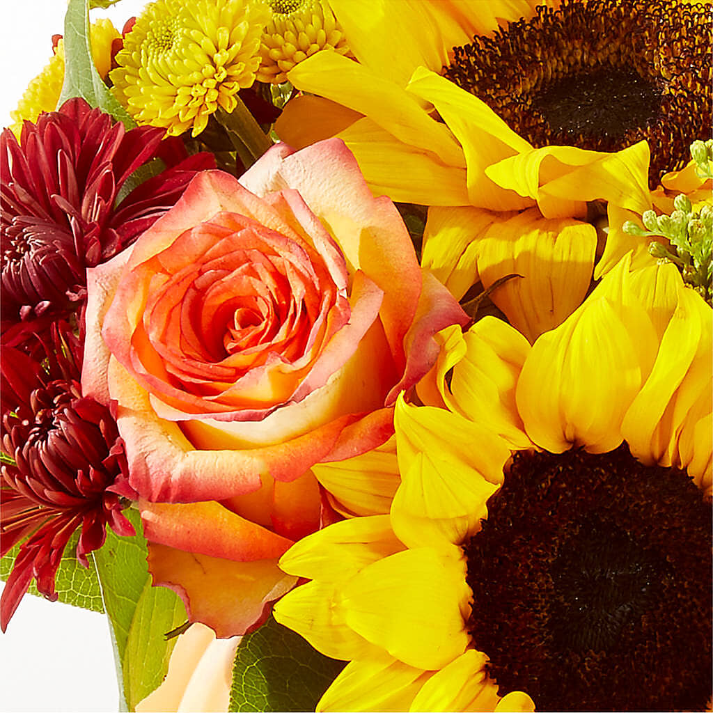 Golden Gourd Pumpkin Bouquet –  Flowers The Bouquet Of Roses, Tampa FL